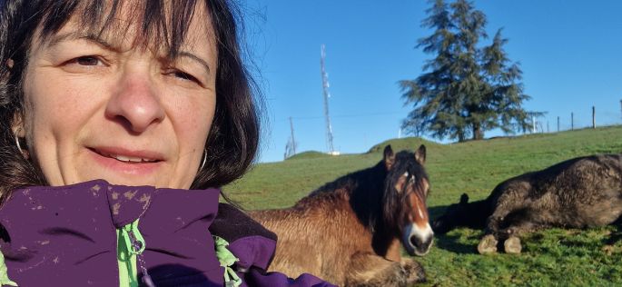mes animaux