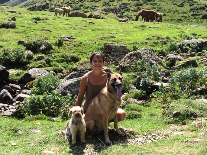 bilan canin